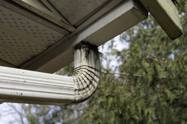 Cost of Roof Drain Replacement in San Rafael
